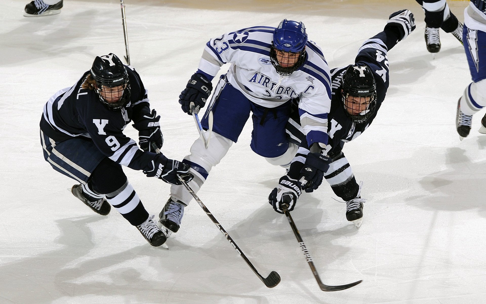 篮球赛季最佳防守球员数据分析